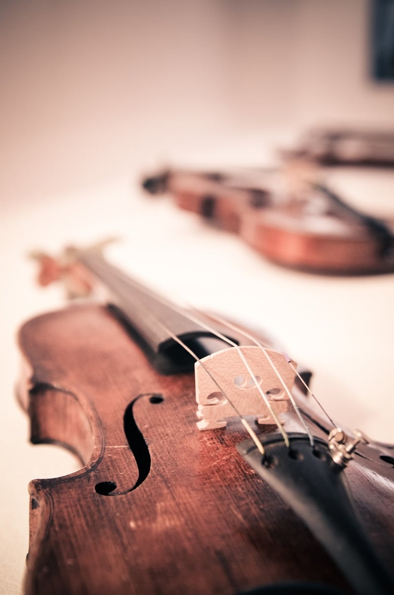 Violinist